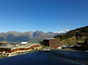 la marmotte